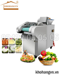 Máy thái lát, cắt sợi rau củ có băng tải