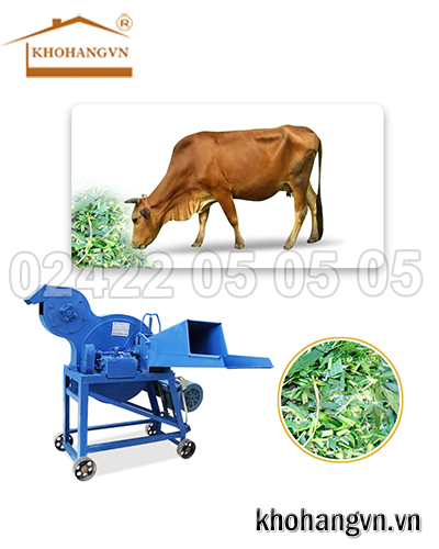 Máy xay cỏ voi 3A9Z-3